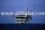 Selling Premium Quality Jet Fuel JP54, Diesel D2, M100, 75 Oil