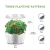 Import SHENPU Indoor Herb Garden Growing Kit for Various Plants with Timer Function from China