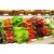 Import simply equipped Supermarket Fruit Display Stand vegetable shelf from China