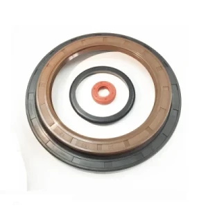 Solid Co-Extruded O Ring Cor Assembled buna tc sc oil Seal
