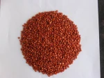 Sorghum Sudan Grass Seed