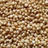 Sugar / Corn / Soybean / Coffee / Soybean Meal / Corn Flour / Sorghum / Barley / Wheat / Rice.