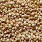 Sugar / Corn / Soybean / Coffee / Soybean Meal / Corn Flour / Sorghum / Barley / Wheat / Rice.