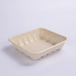 Sugarcane pulp 14D meat and mushroom tray