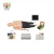 Import SY-N034 High Quality Series CPR training manikin for medical science from China