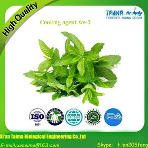 TAIMA cooling agent ws-23/ ws-5 /51115-67-4 F&F-mintflavour