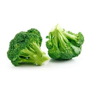 The Best Deal of Fresh Broccoli from Viet Nam