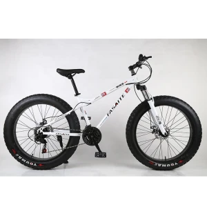Tianjin China hot sale 21 Speed 26 inch Carbon Steel Frame snow bike adult fat tire bicycle
