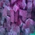 Import TOP CHEAPEST PRODUCT FROZEN DRAGON FRUIT/ IQF PINK PITAYA WITH THE ORGANIC CERT, PASSED US-FDA from Vietnam