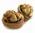 Import Top Grade Thin-skin Raw Walnuts with shell from Austria