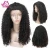 Import Top Quality 100% Brazilian Hair Glueless Lace Frontal Human Hair Wig, Wholesale Silky Remy Human Hair Full Lace Front wig from China