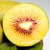 Import Top selling  Popular Health Fresh thin skin 90% MaturityJuicy delicious Red Heart Kiwi Fruit from China