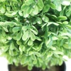 Topiary Outdoor Plants Boxwood Grass Ball Plant Trees Artificial Tree