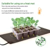 Transparent Plastic Plant Propagator Seed Trays 12 Cells Seedling Starter Germination Tray without Lid and Based Holder