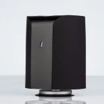 true wireless speaker other consumer electronics
