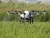 Tta High Efficient Pest Control Agriculture Purpose Drone