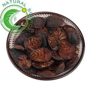 Tu Bie Chong Wholesale Dried Medicinal Herb Ground Beeltle dried Steleophaga Plancyi