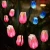 Import Tulip Flower Solar Light, Decoration Solar Light for Christmas, Solar Power outdoor lighting from China