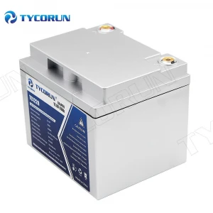 Tycorun Custom-Made portable battery pack solar storage lithium battery rechargeable 12v