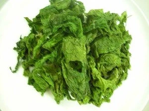 Ulva Lactuca Leave Seaweed with Premium Quality and Cheap Price