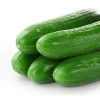 VIETNAM RELIABLE SUPPLIER FOR CHOICE QUALITY FOOD OF PICKLED CUCUMBERS