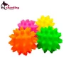 Vinyl Pet Toy Dogs Chew Vocal Toy Sea Urchins Dog Ball