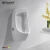 Import waterless urinal Modern design New design from China