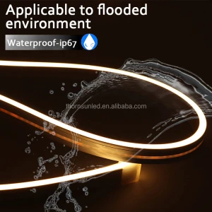 Waterproof  24v 12v 3000k ip68 led neon flexible light