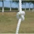 Import White Nylon 3 Strand  Line  White Fishing Ropes from China