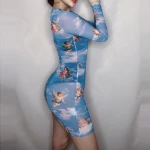 wholesale 2020 autumn hot selling fashion women dress printed mesh see-through  casual fit slim long sleeve round neck dress
