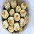 Import Wholesale decorative fresh cut  carnartion flower from China