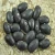Import Wholesale Dried Dark Red Kidney Bean for Canned Food from USA