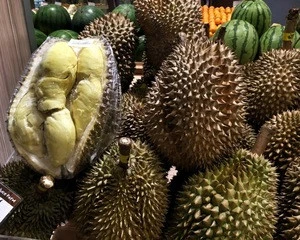 Wholesale Fresh Durian from Thailand