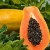 Import Wholesale Fresh Papaya / Papaya Fruit Price / Fresh Papaya Fruit from South Africa