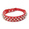Wholesale Manufacturer luxury dog_collars_custom_in_bulk  buckle  neck  lead  set flower  hemp tpu dog collar