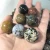 Import Wholesale Natural ocean jasper ball/sphere for decoration or gift from China