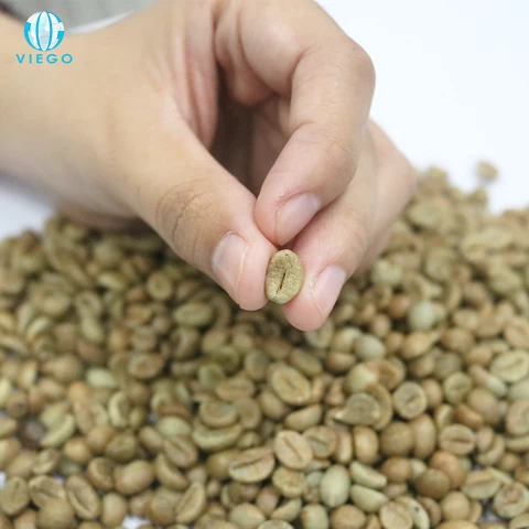 Wholesale Price Green Beans Coffee, Vietnam Arabica Green Coffee Beans, Grade 1 Screen 18 dried OEM Private Label,