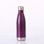 500 ML Blank Vacuum Insulation Stainless Steel Water Bottle
