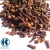 Import Cloves from Indonesia