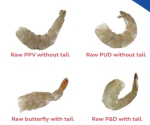 ECUADORIAN VANNAMEI SHRIMP TO THE US ALL SIZES IQF, BLOCK, HOSO. PPV, ETC. FOB OR CFR
