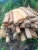 Import 10 ft 4 by 12 and 4 by 6 Timber woods, full trailer loads all the time available from Nigeria
