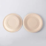 Disposable 10 Inch 3-Compartment Round Plates