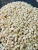 Import Organic High Grade White Corn Maize from Tanzania