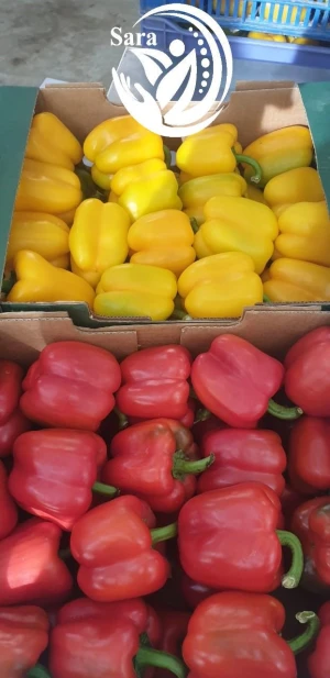 Peppers & Capsicums