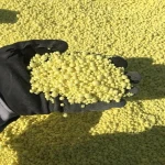Granular Sulphur 99.8%