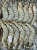 Black Tiger Shrimp
