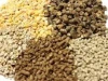 Premium Quality Healthy Animal Feed in Best Discounts