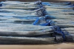 Sheep and beef casings