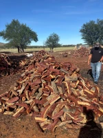 Firewood