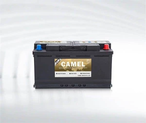 Automotive Agm Start-Stop Battery